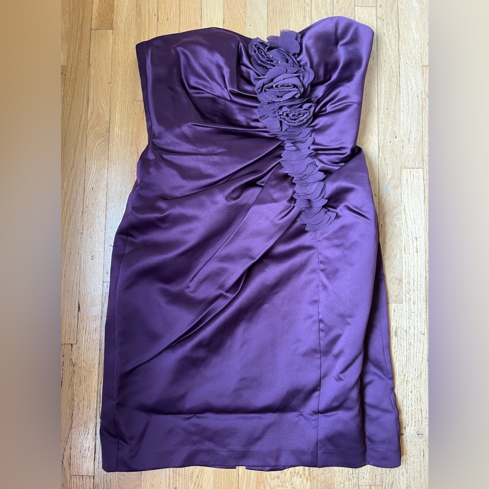 Plum Dress Size 6